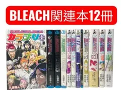 BLEACH ブリーチ 関連本12冊セット 久保帯人