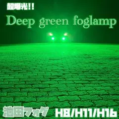 LEDHB4 H8 H11 H16 レーザーグリーン ワンフェス 超爆光 - メルカリ