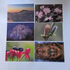 Item thumbnail for item 533d9cab-dddb-4ce8-adcf-4abd72a4f5f8