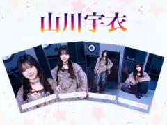 櫻坂46 山川宇衣 アクリルスタンド・ブロマイドセット ローソン コラボ 当選品 櫻坂46 山川宇衣 アクリルスタンド・ブロマイドセット ローソンコラボ