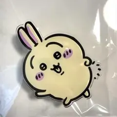 CASETIFY ちいかわ うさぎ うきわ コレクティブルグリップスタンド