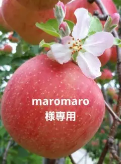 maromaro様専用