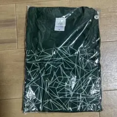 平沢進　Tシャツ　Lサイズ 平沢進・核P-MODELライブ公式 on X: 