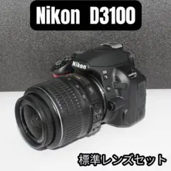 2026年最新】ニコンd3100望遠レンズの人気アイテム - メルカリ