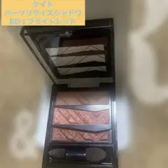 ケイト　パーツリサイズシャドウ RD-1 ブライトレッド　（メーカー生産終了）