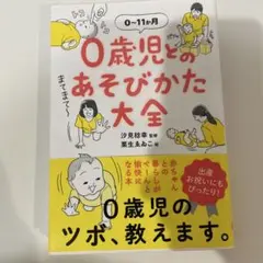 0歳児とのあそびかた大全