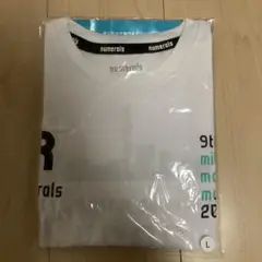 水戸黄門漫遊マラソン2024　第9回　Tシャツ Lサイズ