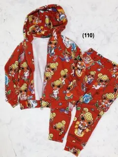 ヒス（110）セトア