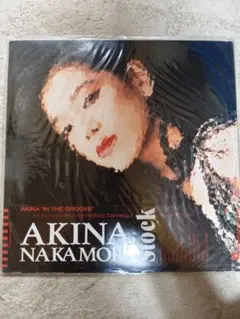 中森明菜 ジグソーパズル 500ピース　内袋未開封 昭和レトロ未開封 中森明菜 パズル 500ピース AKINA NAKAMORI - メルカリ