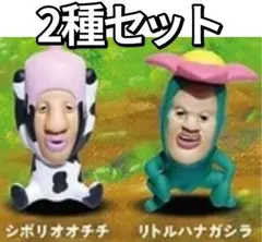 も*る様 こびとづかん おすわりマスコット 2種セット シボリオオチチ、リトルハ