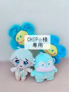 CHIP⭐︎様専用