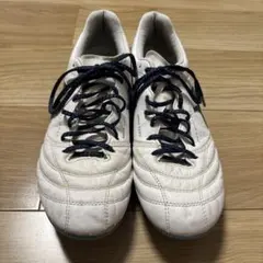 Item thumbnail for item 7e4b9809-8d30-430e-beab-167f35ffdaf9