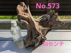 No.573 アク抜き済流木　爬虫類登リ木のサムネイル