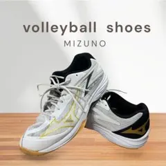 Mizuno Thunder blade Z バレーボールシューズ27.5センチ