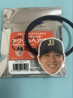 Item thumbnail for item d56487ea-da34-4196-8e45-912f83adcb13