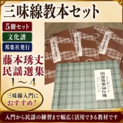 2026年最新】藤本 三味線の人気アイテム - メルカリ