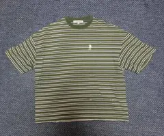 U.S. POLO ASSN. グリーンストライプ Tシャツ M