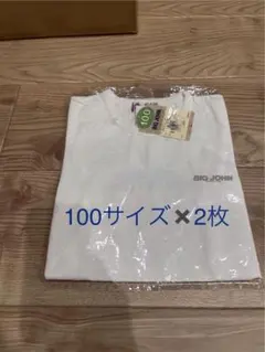 Big John キッズTシャツ 100サイズ　2枚セット