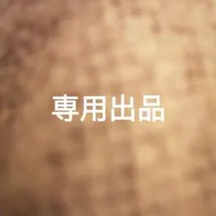 専用出品