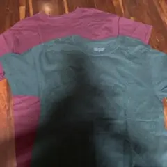 Champion 半袖Tシャツ Mサイズ 2枚セット