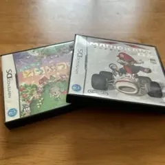 ニンテンドーDS ソフト2個セット