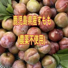 鹿児島産無農薬プラムいぐりすもも箱込み10キロ 鹿児島産無農薬プラムいぐりすもも箱込み10キロ