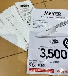 ウォンツ MEYER トクトクポイント券 70点以上のサムネイル