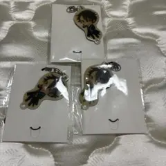 アニメK 伏見猿比古 キーホルダー 3点セット - メルカリ