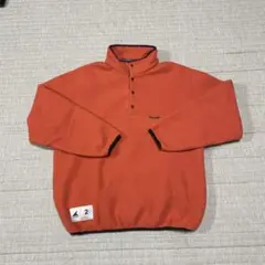 ディセンダント