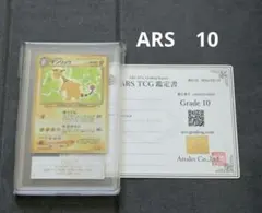ARS10】ミニリュウ 旧裏 ロケット団 1997年 世界3枚 【鑑定書付