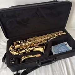 2025年最新】サックス ケース yamahaの人気アイテム - メルカリ