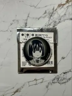 ヒカルの碁 原画展 単行本マグネット 進藤ヒカル 塔矢アキラ 23巻(最終