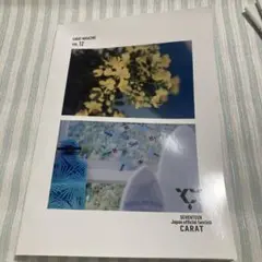 SEVENTEEN CARAT MAGAZINE Vol.12 Vol.6〜9のサムネイル