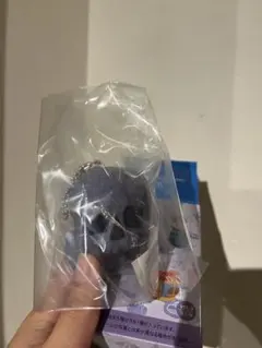 ディズニー テーマポート ぬいぐるみチャーム　ファンタジースプリングス　ドクロ岩