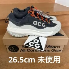 ACG マウンテンフライ 2 LOW GORE-TEX US8.5 26.5cm