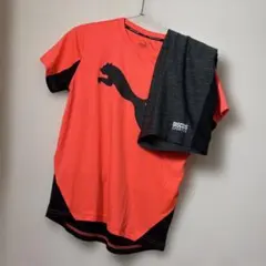 PUMA Tシャツ パンツ2点セット