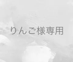 りんご(プロフィール確認お願いします！)様 リクエスト 2点 まとめ商品