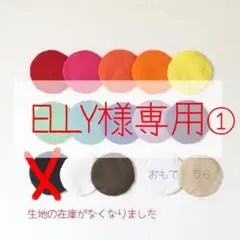 ELLY様専用①