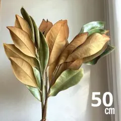 2026年最新】リトルジェムの人気アイテム - メルカリ