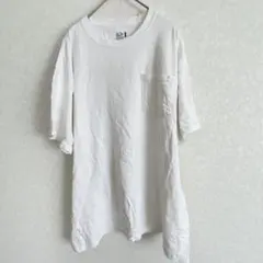 フルーツオブザルーム 無地 ポケットTシャツ クルーネック 半袖 白 綿 Lのサムネイル