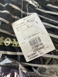 Item thumbnail for item 14d92a47-1608-415f-bc63-761ce031825e