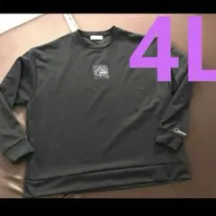 Item thumbnail for item 9cf3f348-c6d0-48ac-9219-2663623dedae