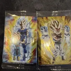 Item thumbnail for item 98f2613d-02fd-4145-b215-1a1c7e4a73c9