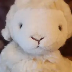 Item thumbnail for item 5d9ea962-a46c-4654-8e0f-8b1481c6bf74