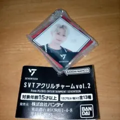 SEVENTEEN JUN （ジュン）アクリルチャーム