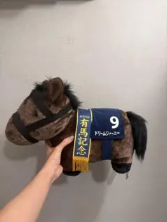 超希少エラー品 サラコレ ドリームジャーニー（ゼッケン：オ