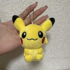 포켓몬 センター 포켓몬 もっちりマスコット 포켓몬 ドールズ 피카츄