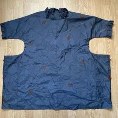 Item thumbnail for item 1baf1c59-caae-41fa-87bd-ebf87f845655