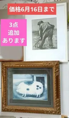 眼球断面図 アンティーク ポスター レア 店舗什器 レトロ 骨董 入手 
