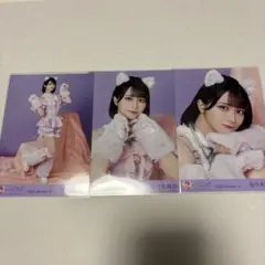 佐々木舞香 猫衣装 コンプ 生写真